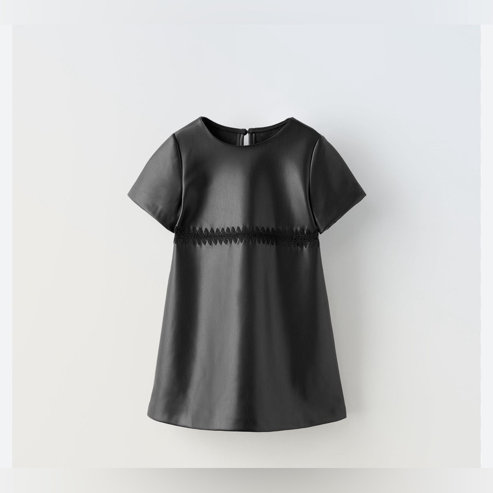 Zara Faux Leather Embroidered Dress